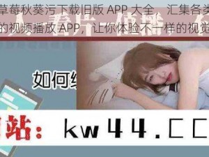 丝瓜草莓秋葵污下载旧版 APP 大全，汇集各类热门污污的视频播放 APP，让你体验不一样的视觉盛宴