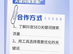 后 SEO 短视频页入口引流，提升流量转化的有效方法