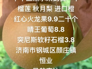 新鲜采摘的榴莲香蕉苹果哈密瓜水蜜桃，口感鲜美，营养丰富