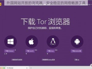 外国网站开放的浏览器，安全稳定的网络畅游工具
