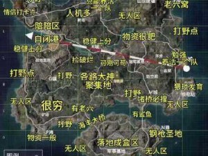 和平精英海岛2.0版吃鸡攻略大全：实战技巧详解与生存策略指南