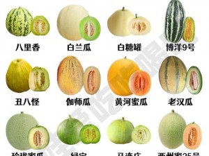 吃瓜网免费吃瓜黑料泄密爆料曝——高品质新鲜水果，口感鲜美，营养丰富