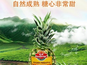 菠萝导航——一个汇聚各类优质商品的网站