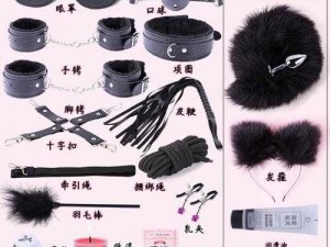 商品介绍女王虐女奴：角色扮演玩具，满足你的特殊癖好