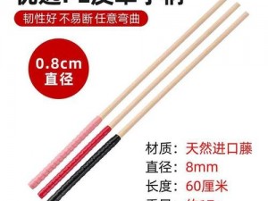 家训 sp 小玩具——独特设计，提升生活品质