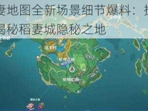 原神稻妻地图全新场景细节爆料：探索未知雷域，揭秘稻妻城隐秘之地