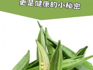 丝瓜黄瓜草莓向日葵秋葵榴莲污日葵秋葵榴莲新鲜水果，营养丰富，口感鲜美，是您健康生活的好选择