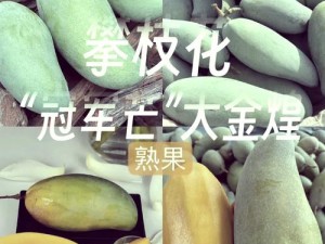 亚洲 1 区 1 区 3 区 4 区产品乱码芒果，口感鲜美，香气浓郁，是您品尝水果的不二之选