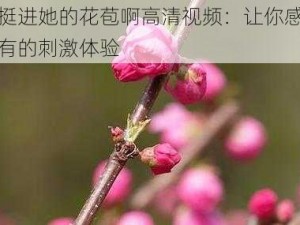 用力挺进她的花苞啊高清视频：让你感受前所未有的刺激体验