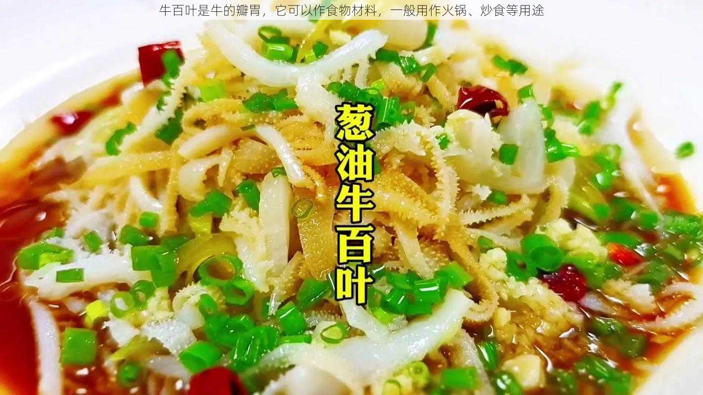 牛百叶是牛的瓣胃，它可以作食物材料，一般用作火锅、炒食等用途