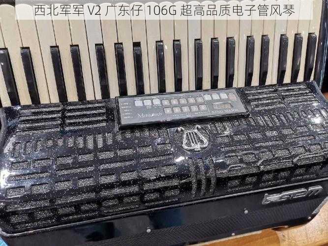 西北军军 V2 广东仔 106G 超高品质电子管风琴