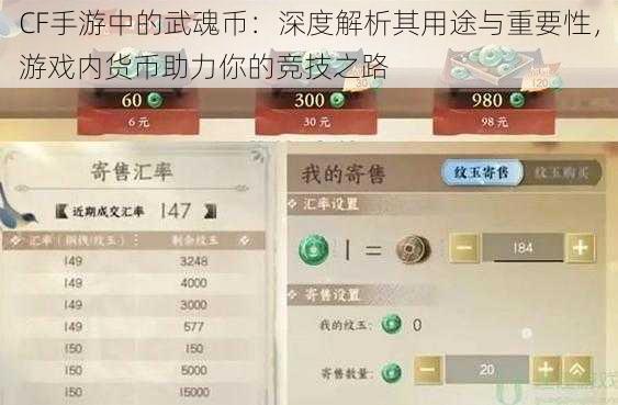 CF手游中的武魂币：深度解析其用途与重要性，游戏内货币助力你的竞技之路