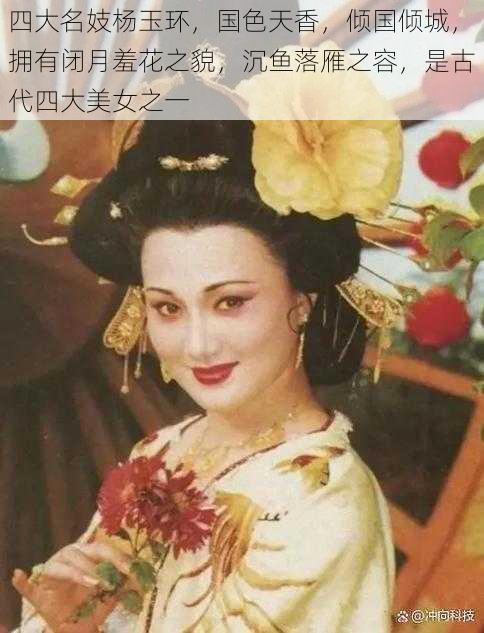 四大名妓杨玉环，国色天香，倾国倾城，拥有闭月羞花之貌，沉鱼落雁之容，是古代四大美女之一