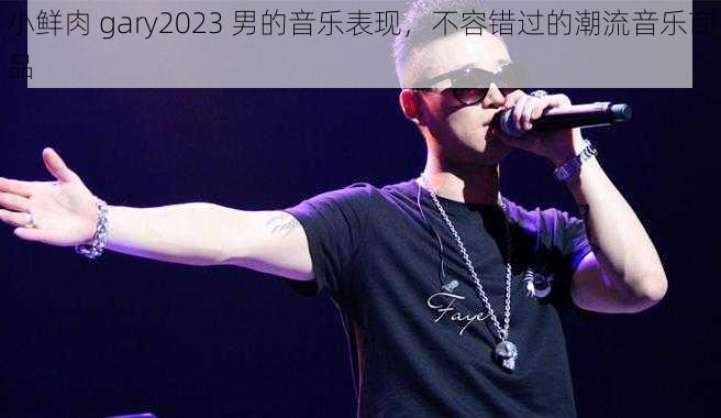 小鲜肉 gary2023 男的音乐表现，不容错过的潮流音乐商品