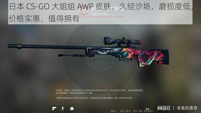 日本 CS-GO 大姐姐 AWP 皮肤，久经沙场，磨损度低，价格实惠，值得拥有