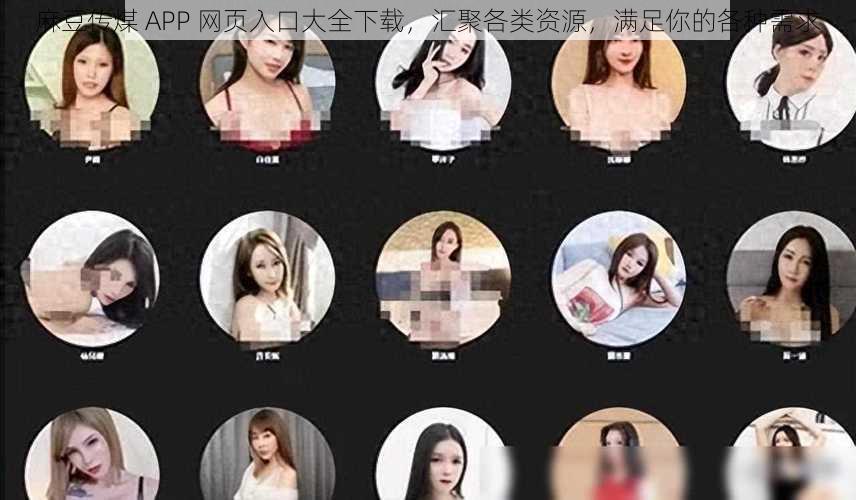 麻豆传煤 APP 网页入口大全下载，汇聚各类资源，满足你的各种需求