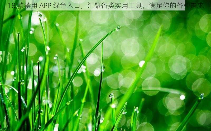 18 款禁用 APP 绿色入口，汇聚各类实用工具，满足你的各种需求