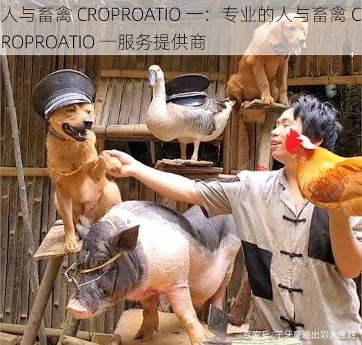 人与畜禽 CROPROATIO 一：专业的人与畜禽 CROPROATIO 一服务提供商