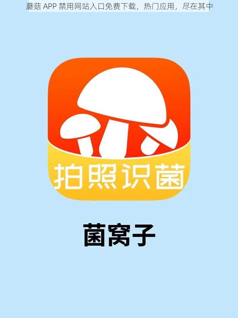 蘑菇 APP 禁用网站入口免费下载，热门应用，尽在其中