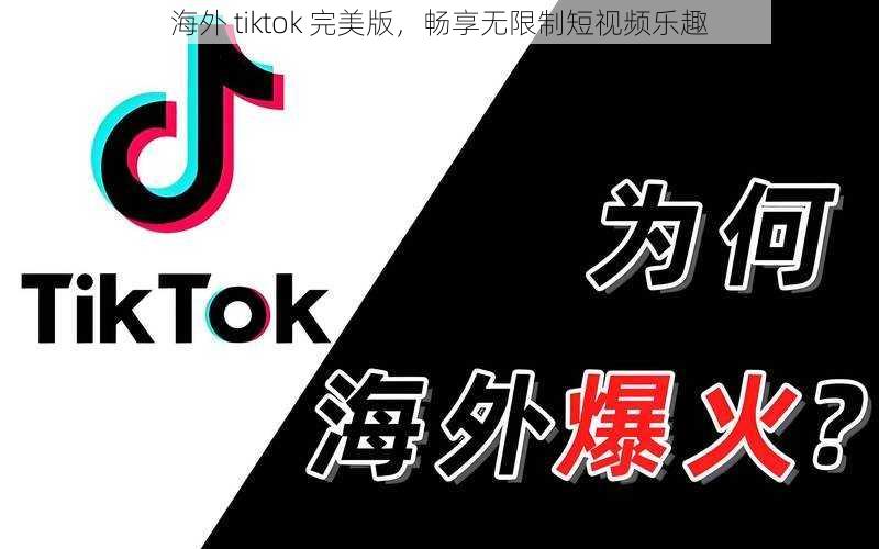 海外 tiktok 完美版，畅享无限制短视频乐趣