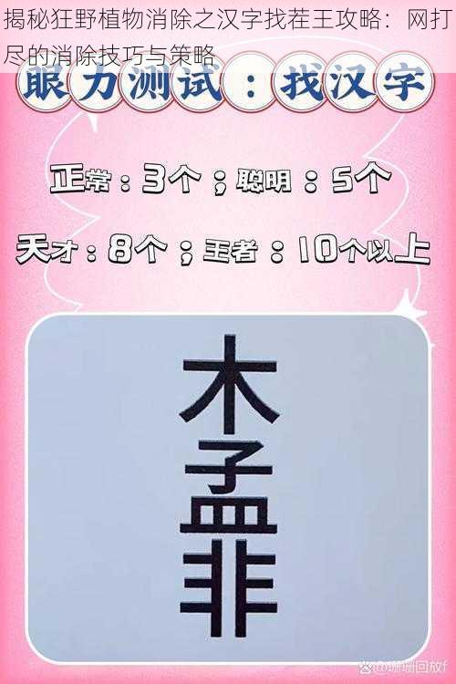 揭秘狂野植物消除之汉字找茬王攻略：网打尽的消除技巧与策略