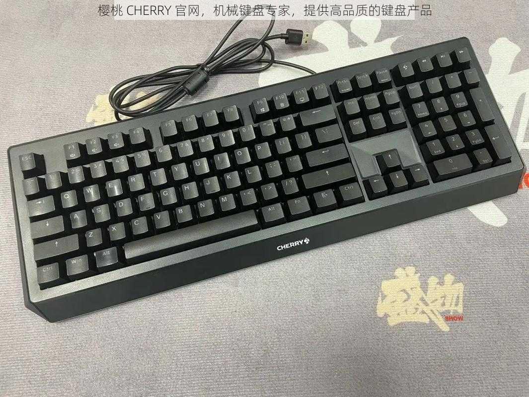 樱桃 CHERRY 官网，机械键盘专家，提供高品质的键盘产品