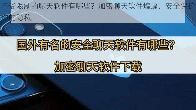 不受限制的聊天软件有哪些？加密聊天软件蝙蝠，安全保护你的隐私