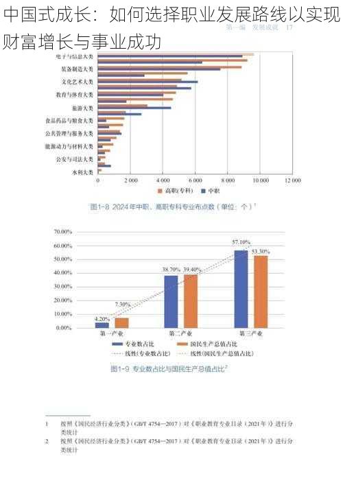 中国式成长：如何选择职业发展路线以实现财富增长与事业成功