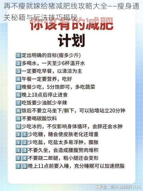 再不瘦就嫁给猪减肥线攻略大全——瘦身通关秘籍与玩法技巧揭秘