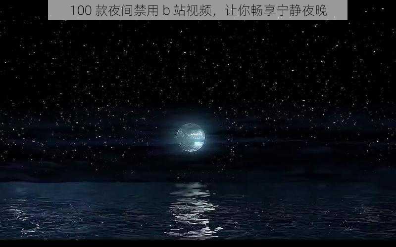 100 款夜间禁用 b 站视频，让你畅享宁静夜晚