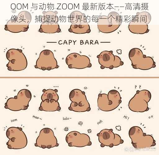 OOM 与动物 ZOOM 最新版本——高清摄像头，捕捉动物世界的每一个精彩瞬间