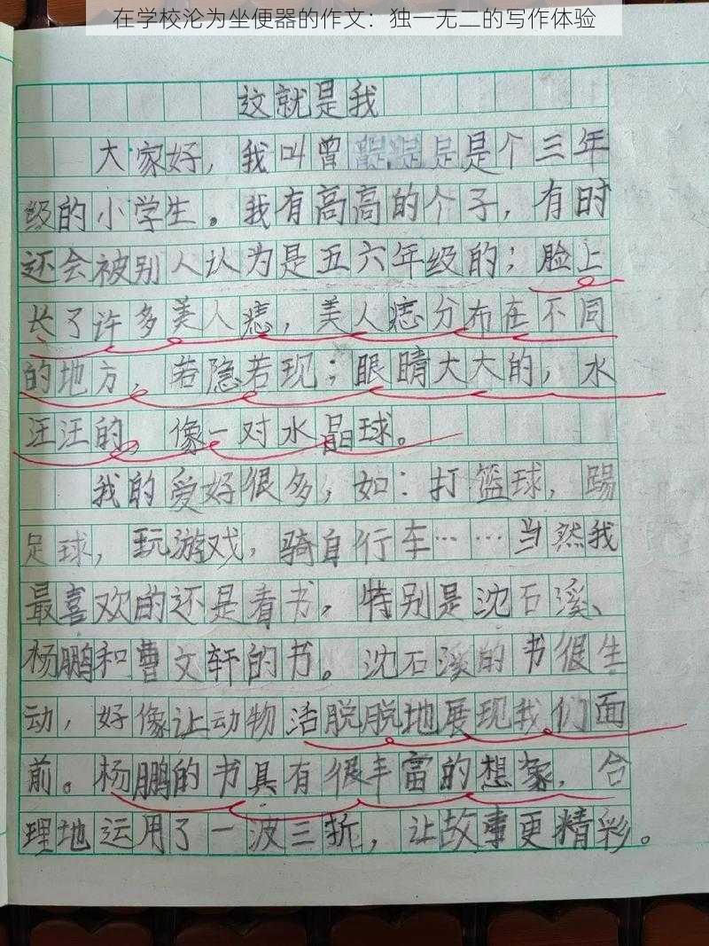 在学校沦为坐便器的作文：独一无二的写作体验