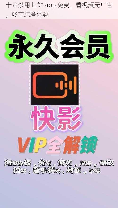 十 8 禁用 b 站 app 免费，看视频无广告，畅享纯净体验