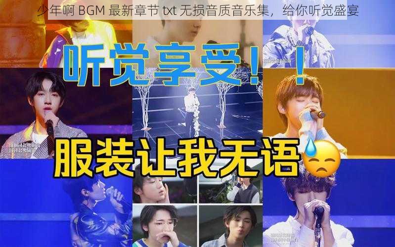 少年啊 BGM 最新章节 txt 无损音质音乐集，给你听觉盛宴