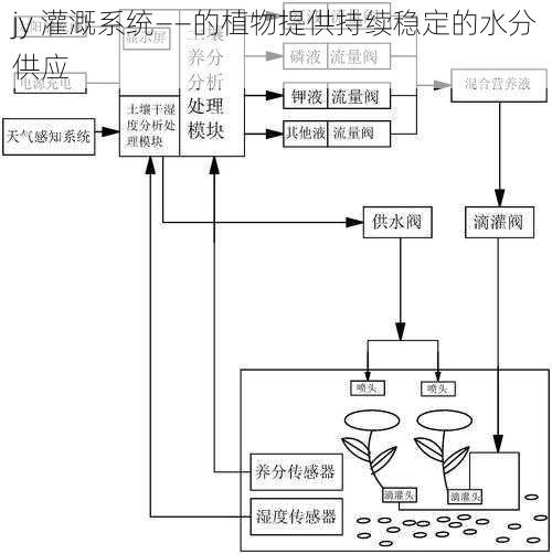 jy 灌溉系统——的植物提供持续稳定的水分供应