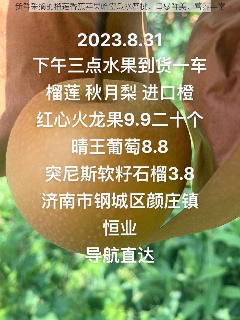 新鲜采摘的榴莲香蕉苹果哈密瓜水蜜桃，口感鲜美，营养丰富